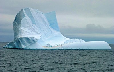 Interesting Iceberg with Penguins on It