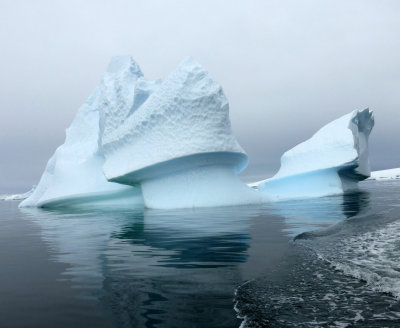 Iceberg in Pleneau Bay