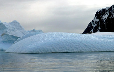 Dimpled Iceberg in Pleneau Bay