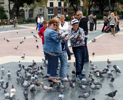 Pigeons in Placa de Catalunya in Barcelona