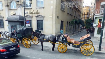 Carriage Rides, Malaga, Spain