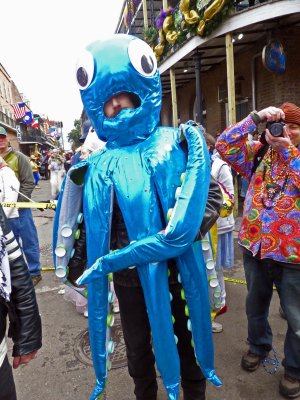 Blue Octopus on Royal St