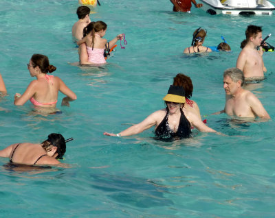 Swimming with the Sting Rays in Grand Cayman