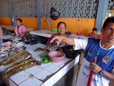 Fish at Mazan Market