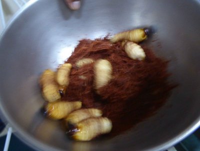Suri Worms Ready to Cook