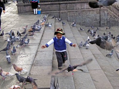 Chasing Pigeons in Saint Francis Square, Quito