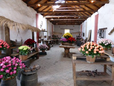 The Plantation Barn contains 10,000 Roses