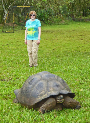 Susan with Giant Tortoise Outside the Restaurant at Lunch