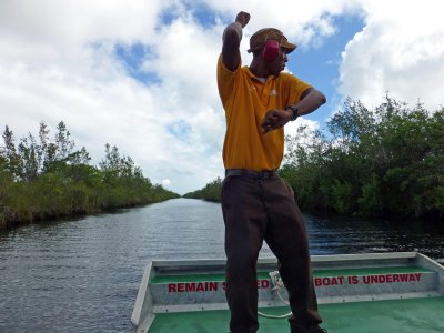 Airboat Nature Guide