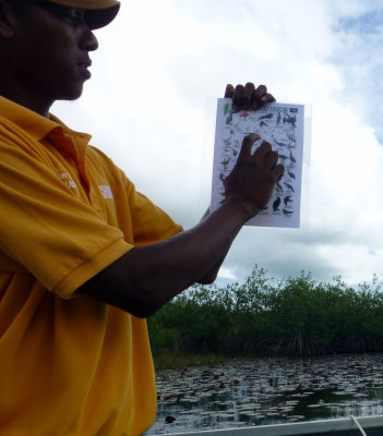 Helping Identify Birds on the Airboat