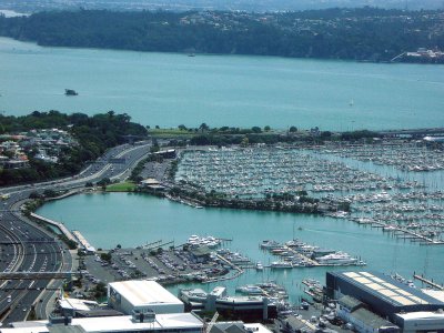Auckland's Westhaven Marina viewed from Sky Tower