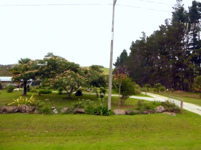 West of Auckland, NZ