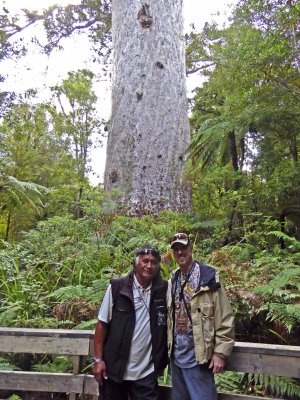 Bill & Bill at 2,000 year old 'Lord of the Forest'