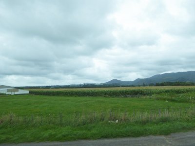 There is more land under cultivation in Central North Island, NZ