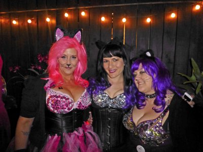 Three Sex Kittens on Monday Night