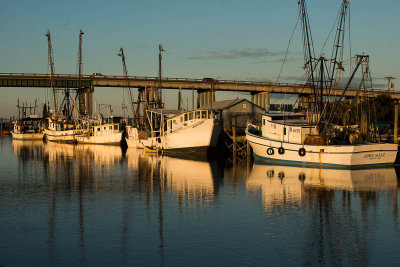20140131-RKT_3393.jpg