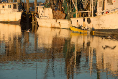 20140131-RKT_3433.jpg