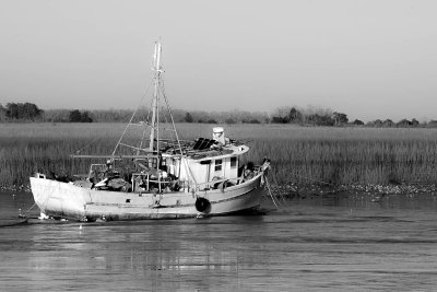 20140202-Savanna-Tybe Is.RKT_3661-2.jpg