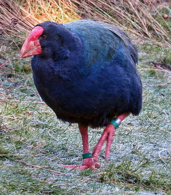 g9/60/683160/3/145445763.k5XNdUck.jpg