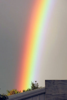 January Rainbow 3.jpg
