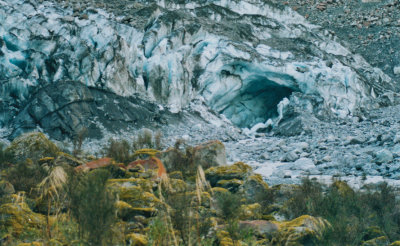 Glacier Cave @ Fox Glacier.
