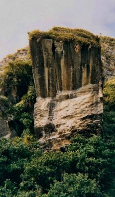 Large Rock in bush.jpg