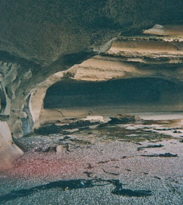 Punakaiki Cave.jpg