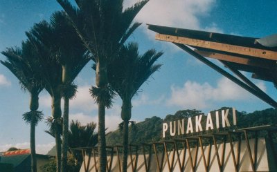 Punakaiki  shops & Nikau Palms. NZ