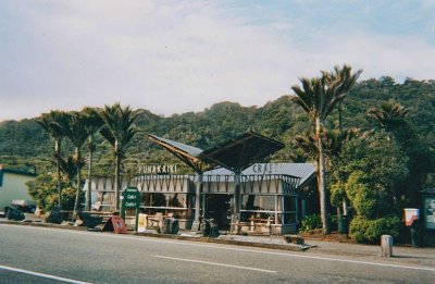Punakaiki  shops with Nikau Palms.