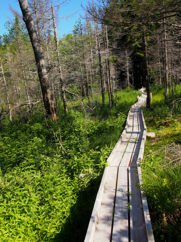 appalachian trail 36.jpg