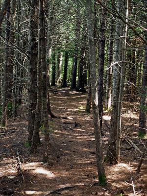 appalachian 729.jpg