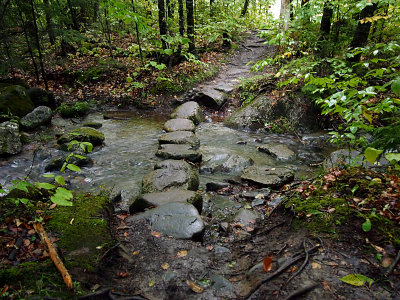 appalachian trail 1410.jpg