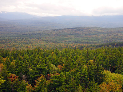 appalachian trail 1591.jpg