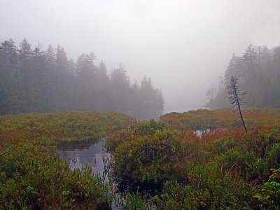 appalachian trail 1666.jpg