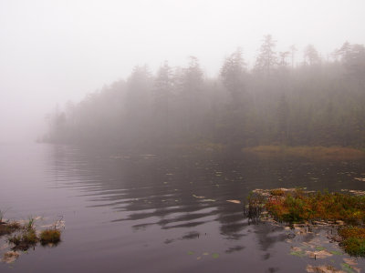 appalachian trail 1669.jpg