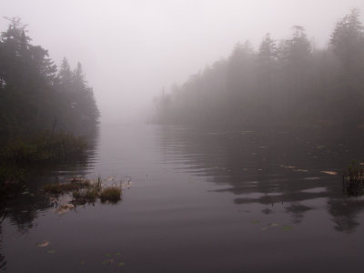 appalachian trail 1671.jpg