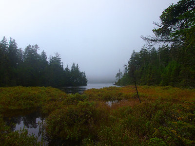 appalachian trail 1691.jpg