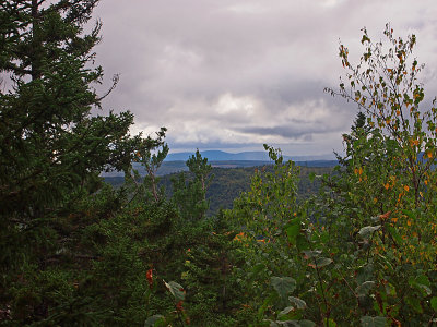 appalachian trail 1761.jpg