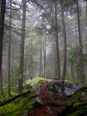 appalachian trail 1896.jpg