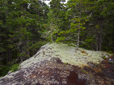 appalachian trail 1899.jpg