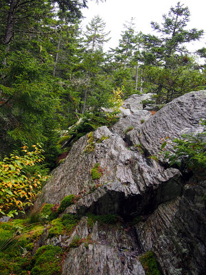 appalachian trail 1903.jpg