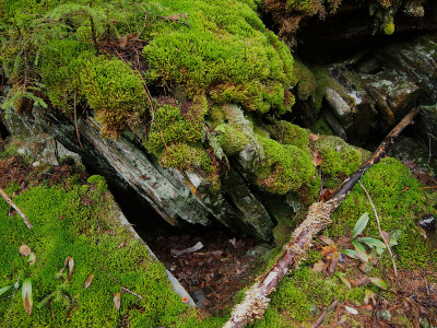 appalachian trail 1966.jpg