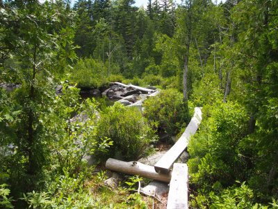 appalachian trail from caratunk kennebec river to long fall dam road 113.jpg