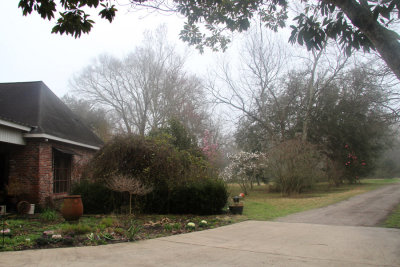 Elaine's Garden, 2014