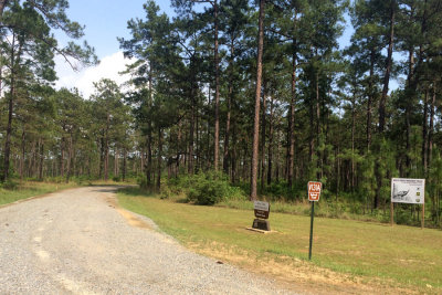 Dove Field Recreation Area, Kisatchie Nat Forest, May 8, 2015