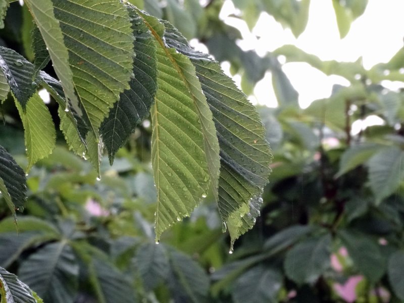 DSC03658.JPG