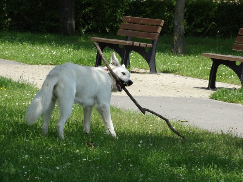 DSC03752.JPG