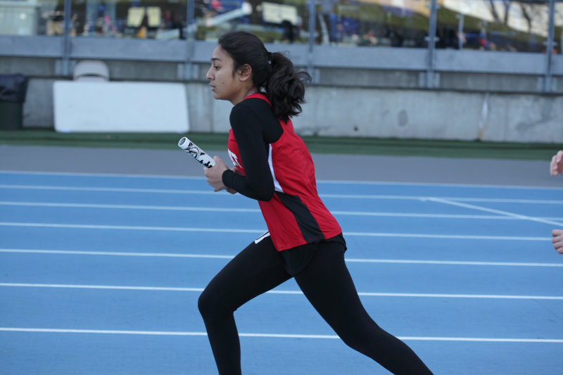 cribb_20160416_3311.jpg