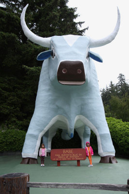 Babe the ox at Trees of Mystery