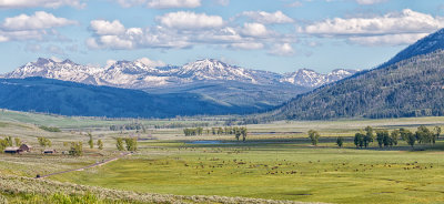 Lamar Valley - Yellowstone